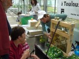 Atelier serre municipal  Toulouse  08.05.2010