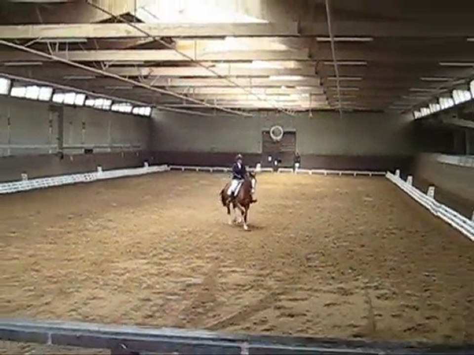 dressage St-Lo