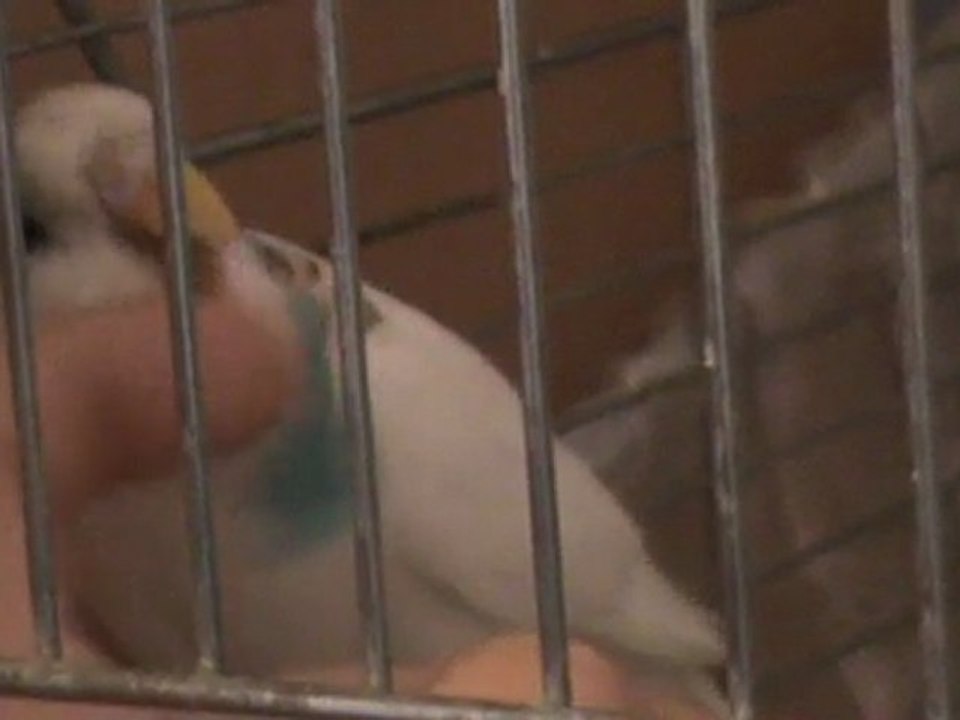 Baby Girl Being Cuddly