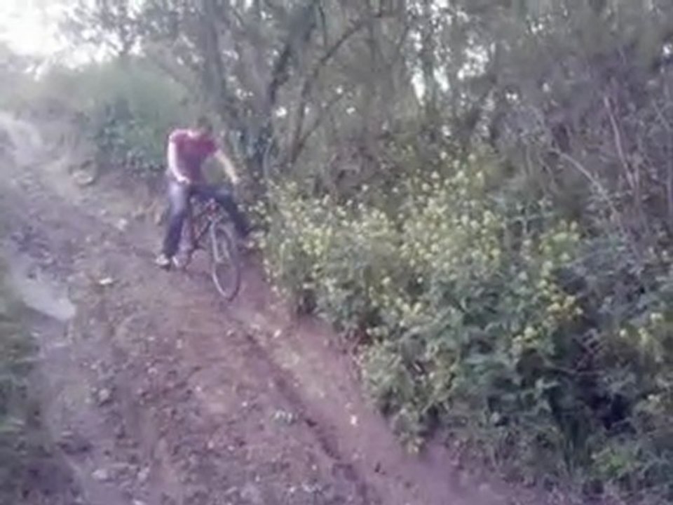 tomy