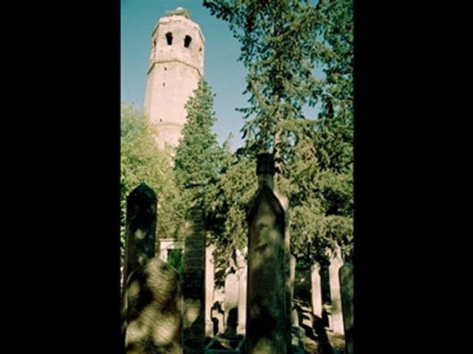 Şanlıurfa-fish Lake Documentary