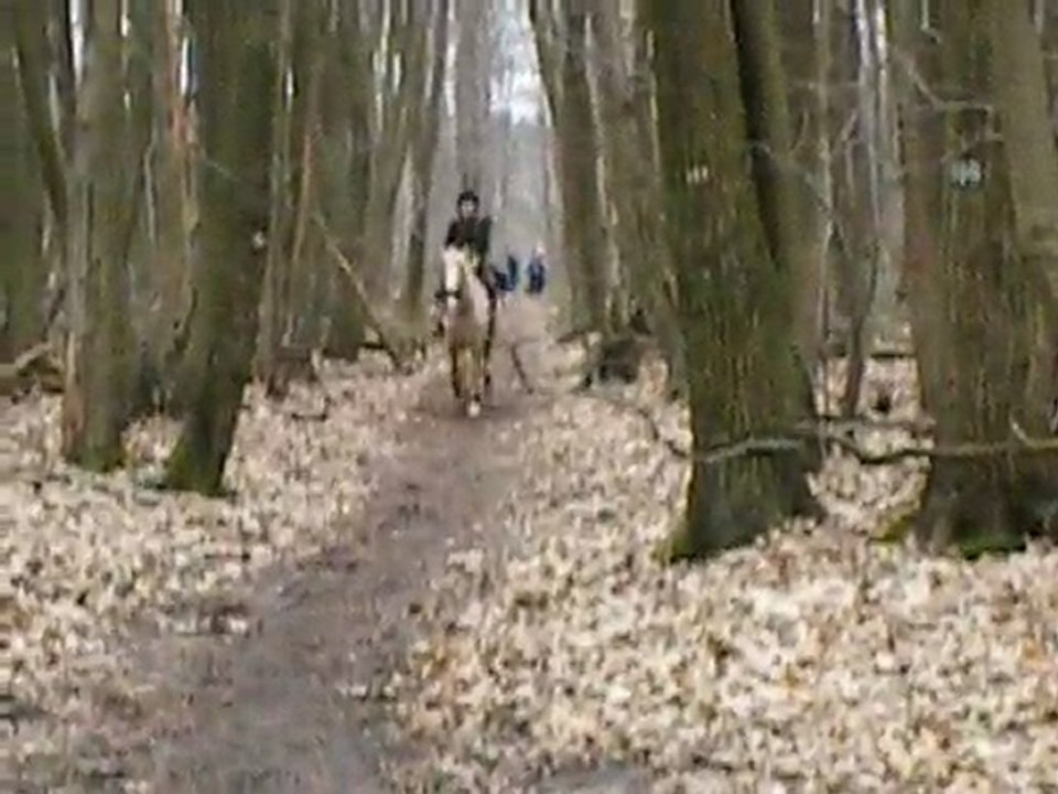 21 mars à cru