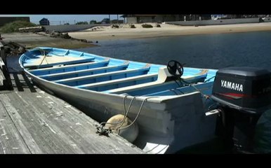 Coast Guard Interdicts Undocumented Migrants