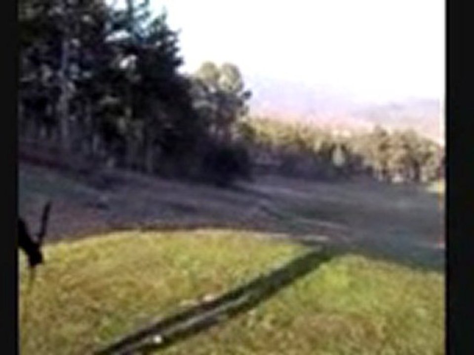 Au golf avec le frèro (27 01 10)