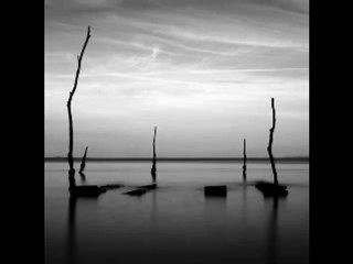 L' amour des commencements