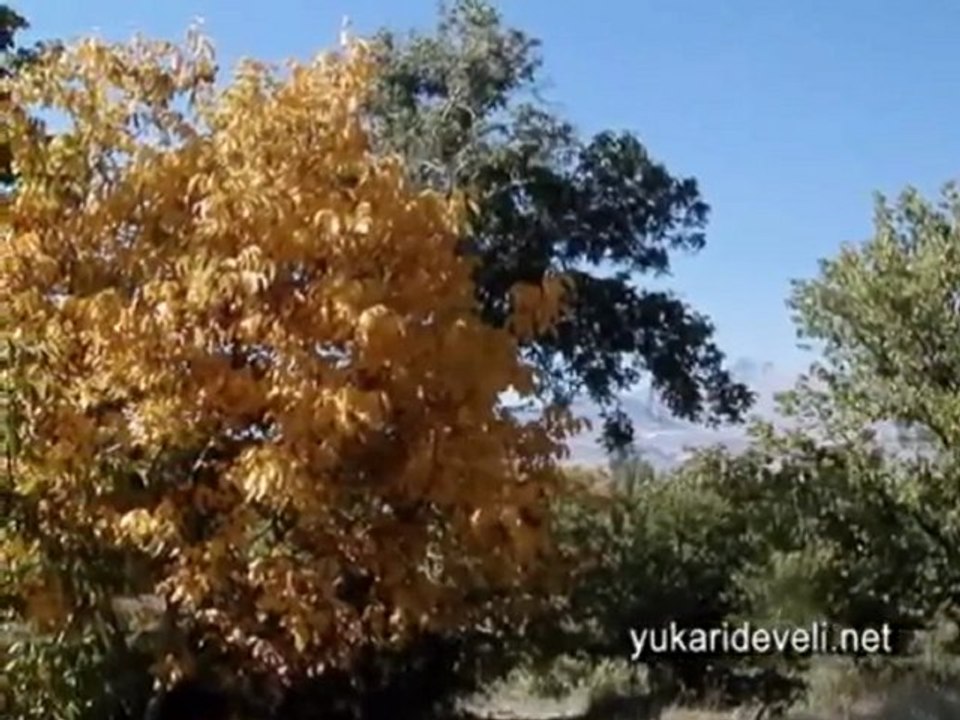 memleket özlemi