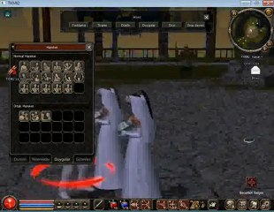 metin2 evlilik