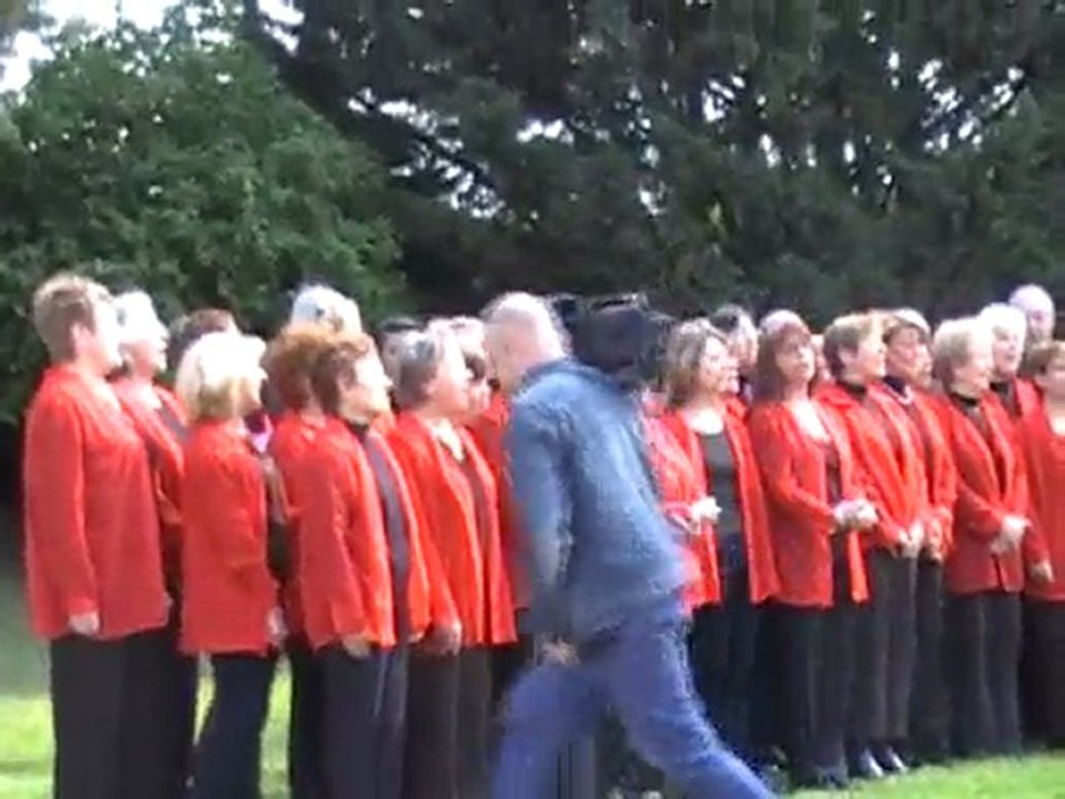 Genas (69740) cérémonie 8 mai 2010