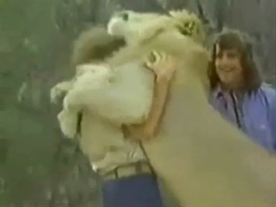 aslan unutmamış muhteşem bi şey