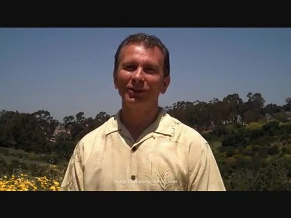 "Main Street Marketing Scam, Traffic Geyser, Daniel Wynn"