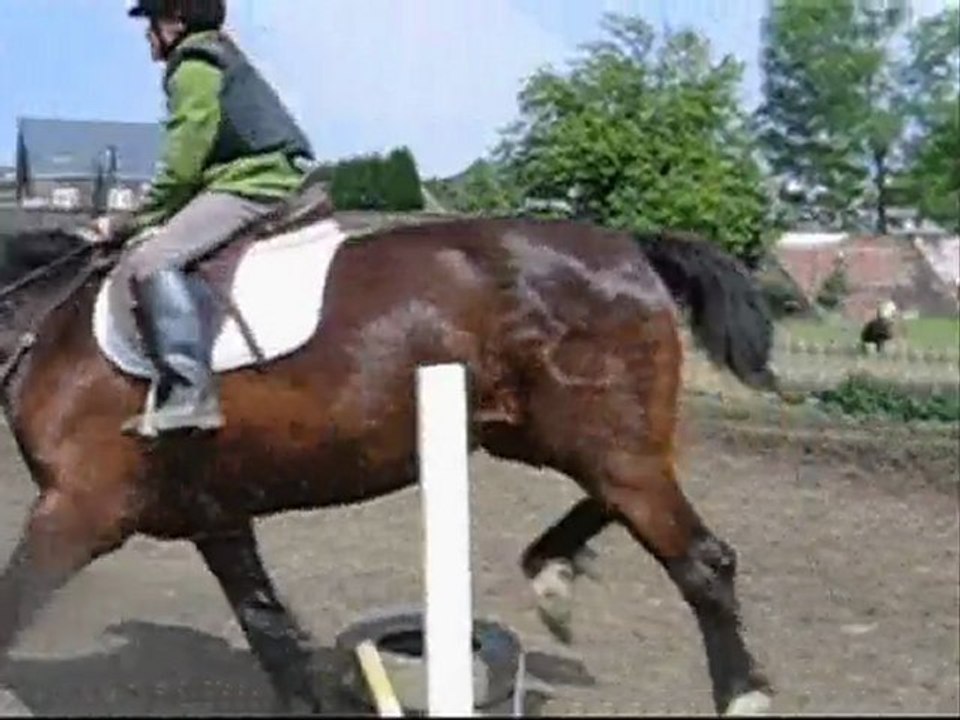 concours obstacle 8-05