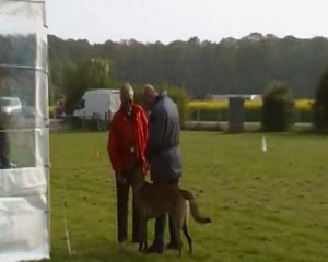 le CSAU de DACOÏT le 08.05.2010 au mesnil st-denis