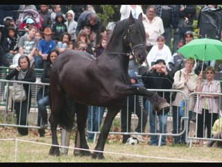 berre l'étang 2010