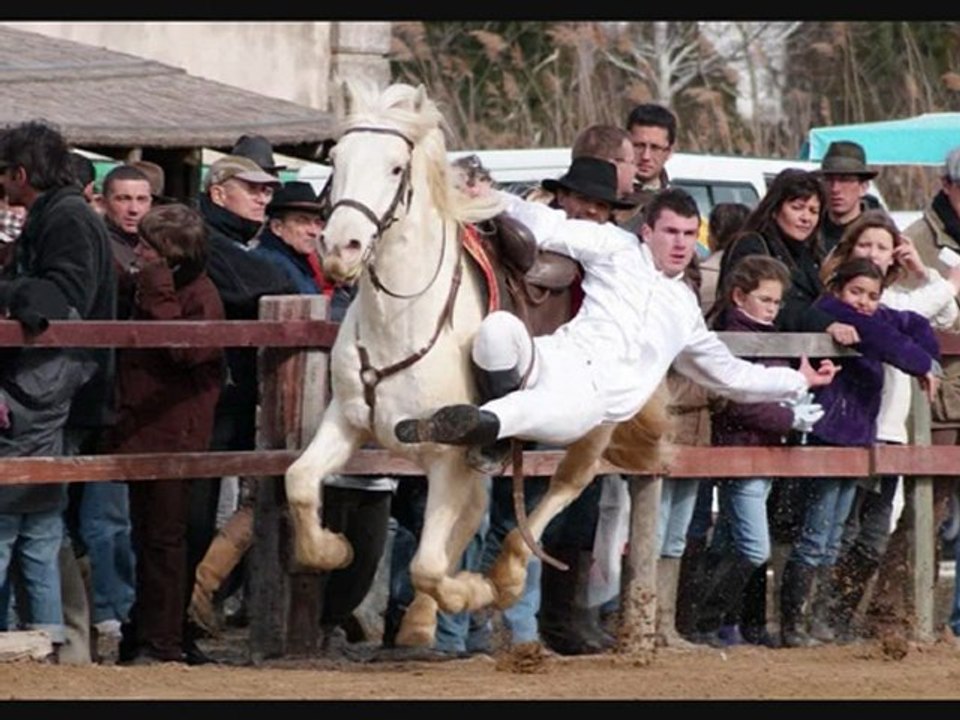 camagri 2010