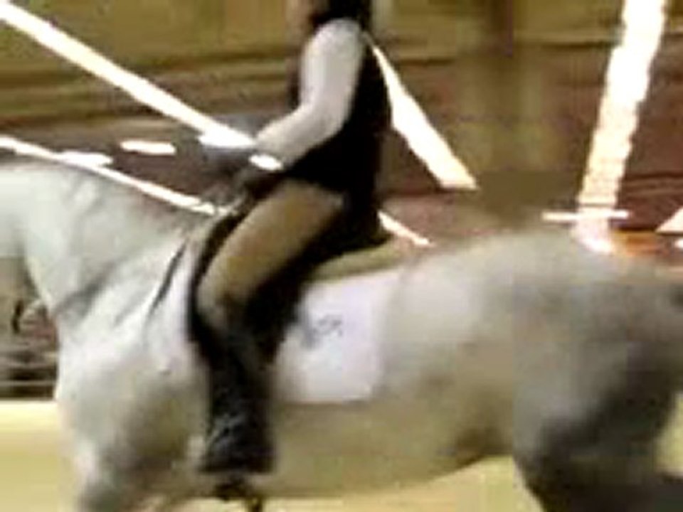 Salon de Cheval