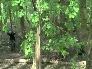 Bande anonce 1 Krodon et la pierre des dieux