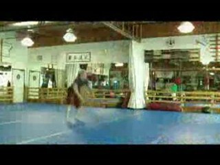 Michael Lehr Stunt Fight Reel