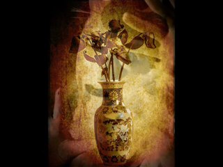 Sihirli Güller: Büyülü Çiçekler ve Anlamları