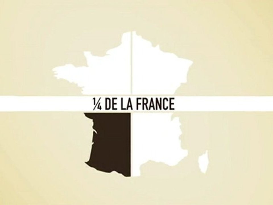 Les moteurs de la déforestation