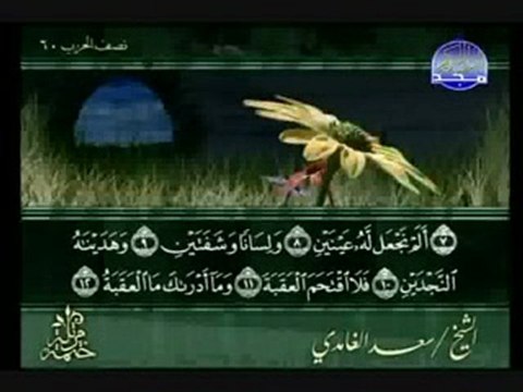 سورة البلد الشيخ سعد الغامدي Al-Balad