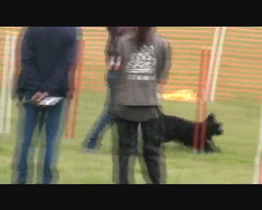 sélectif GPF agility 2010