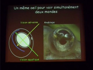 WEB CAST 36 - 7/5/2010 - LA LUMIERE ET LA VIE - Damien S-B