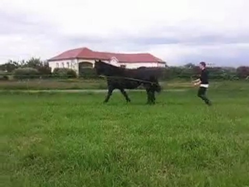 Graziélla Longues reines =)