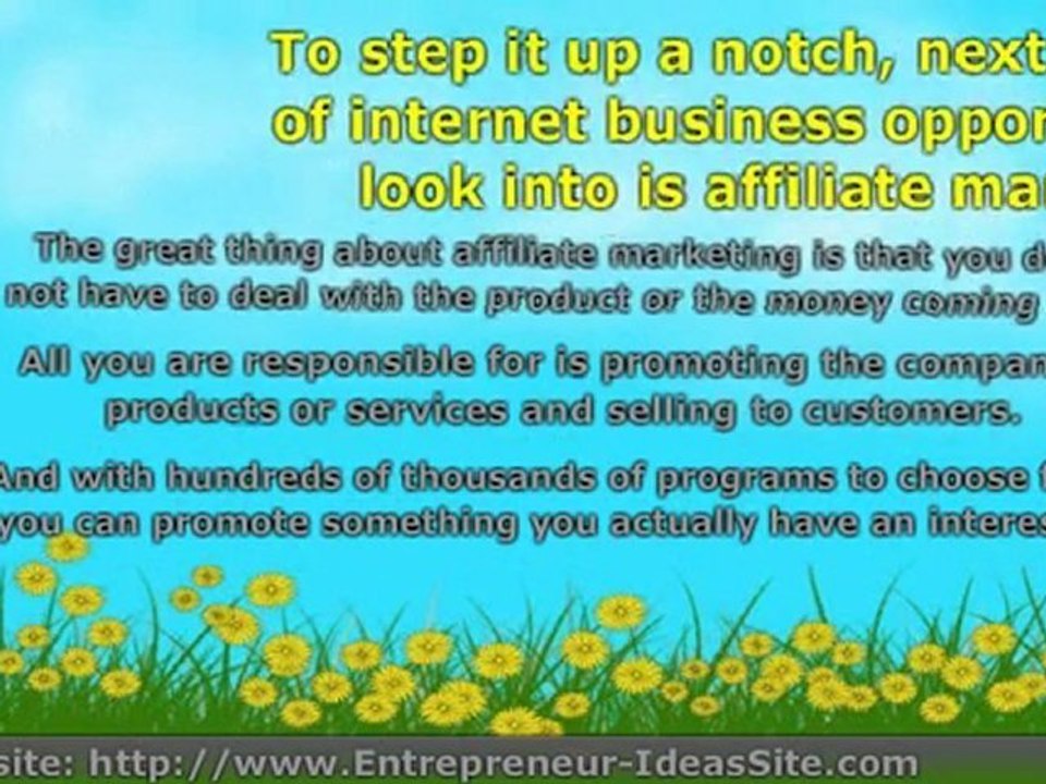 Internet Business Opportunities For You to Take Advantage of