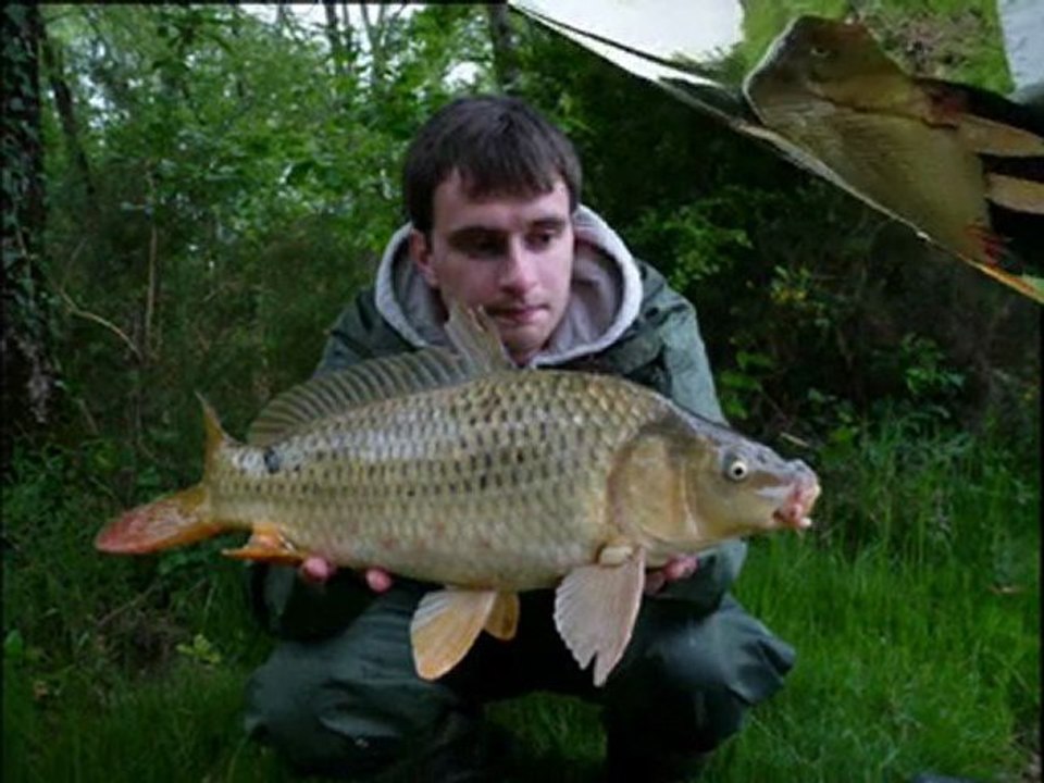 Souvenir - Diaporama Etang Pin