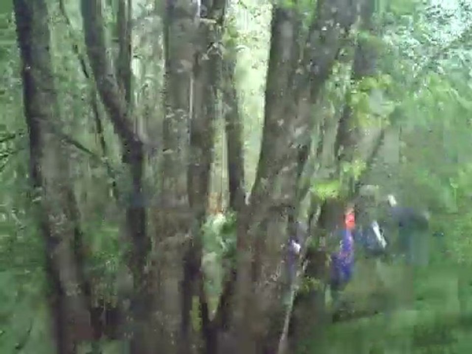 mon  chambon  a moi 2010