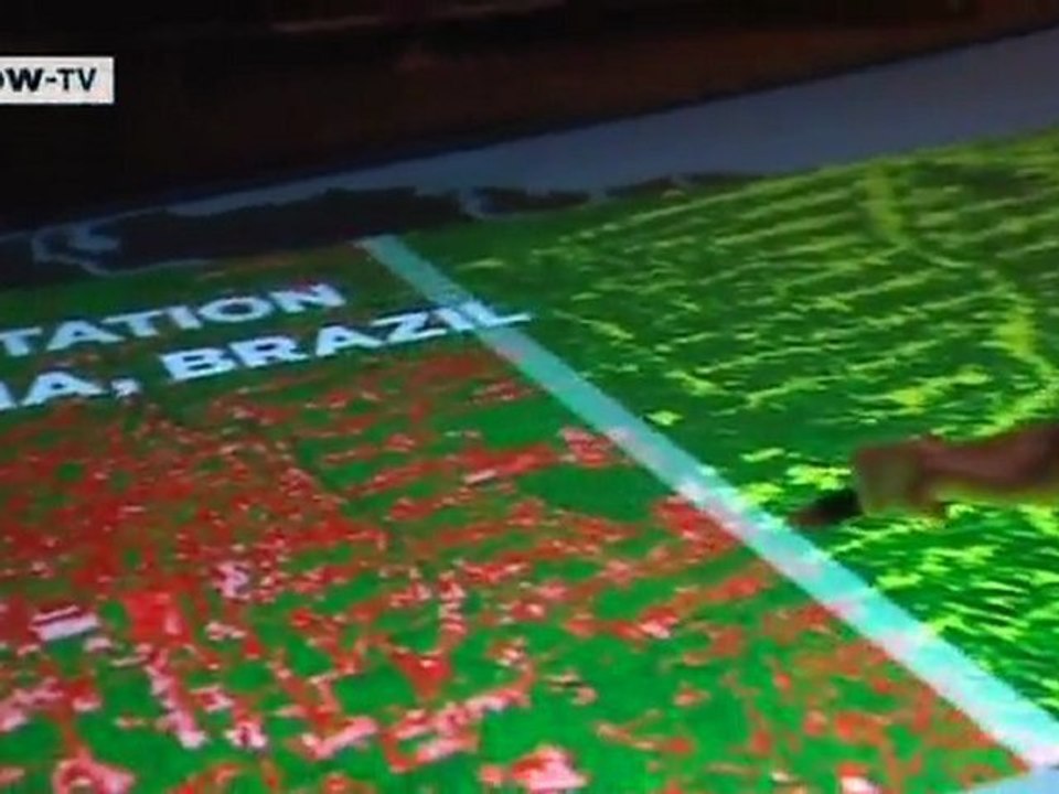 What do we have to do with the Amazon River? | Arts.21