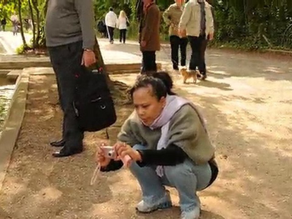 La photographe à Vincennes