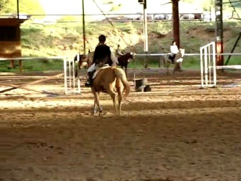 Détente avec Majort, jumping de l'ESC st étienne 8 mai 2010