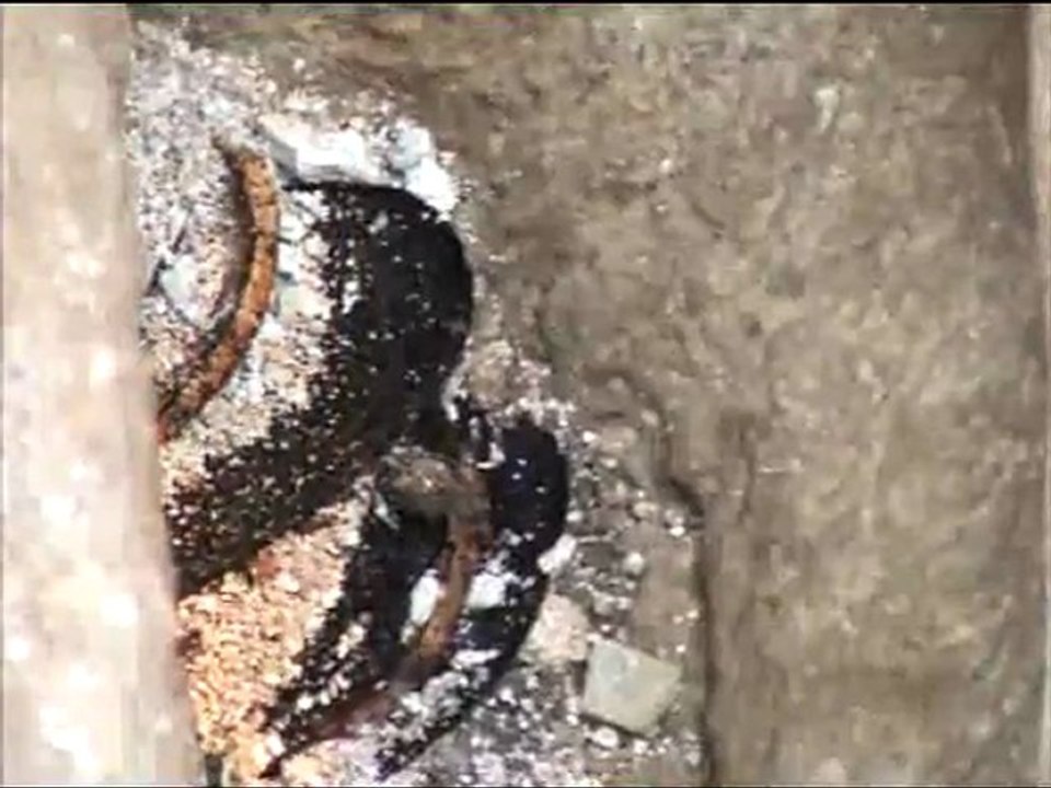 Roma Mezarı Açılış Anı-nacibaba.com