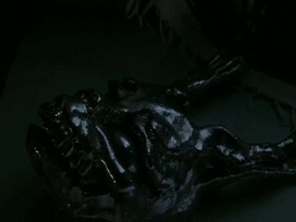 Donnie Darko