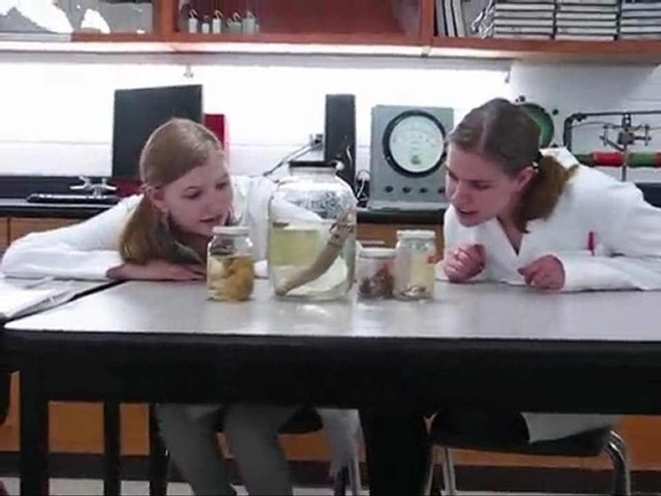 We Love Science!
