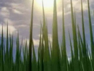 Senden kalan tek ani bu