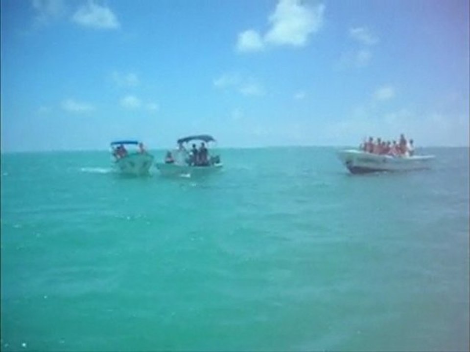 Mon film 8 mai sian kaan