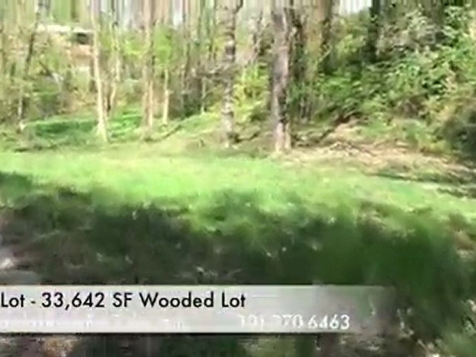 bethesda new house renovation,new contractor,bethesda luxur