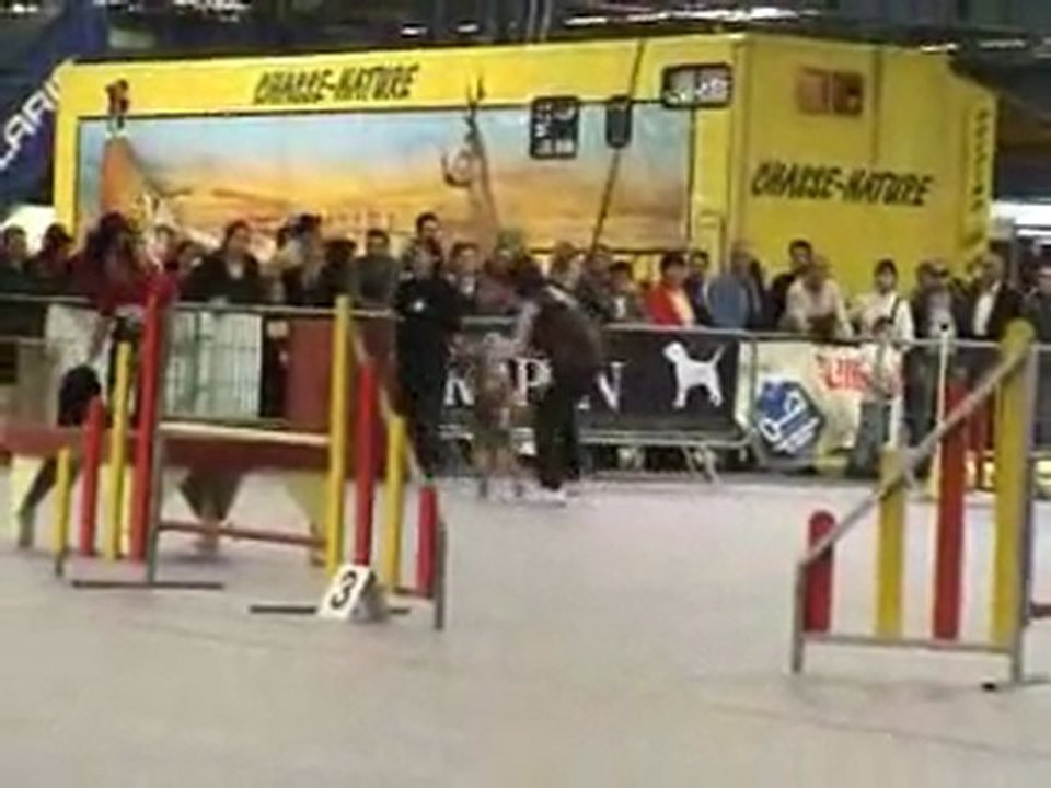 2010_05_08 Grenoble Douchka + concours Agility