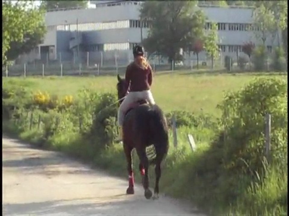 Olten_trot_7mai