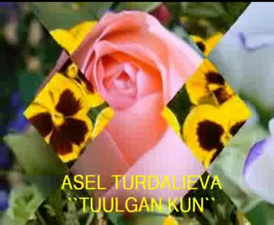 ASEL TUULGAN KUN
