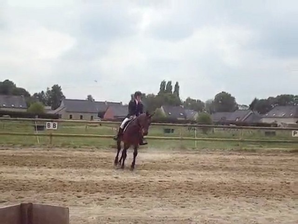 Suomi Finland au trot en dressage