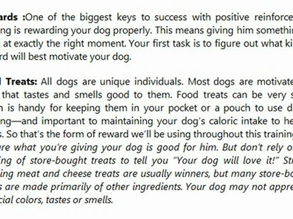 Bichon Frise Pre - Training Tips