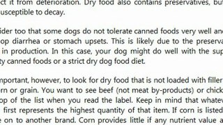 Which Dog Food Is Best - Dried or Canned?