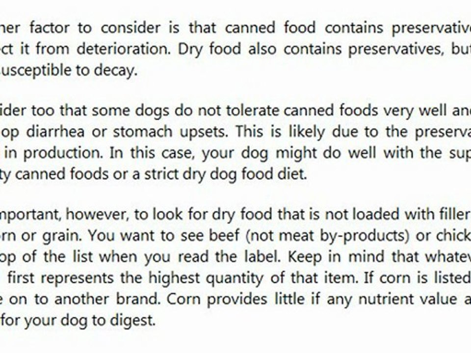 Which Dog Food Is Best - Dried or Canned?