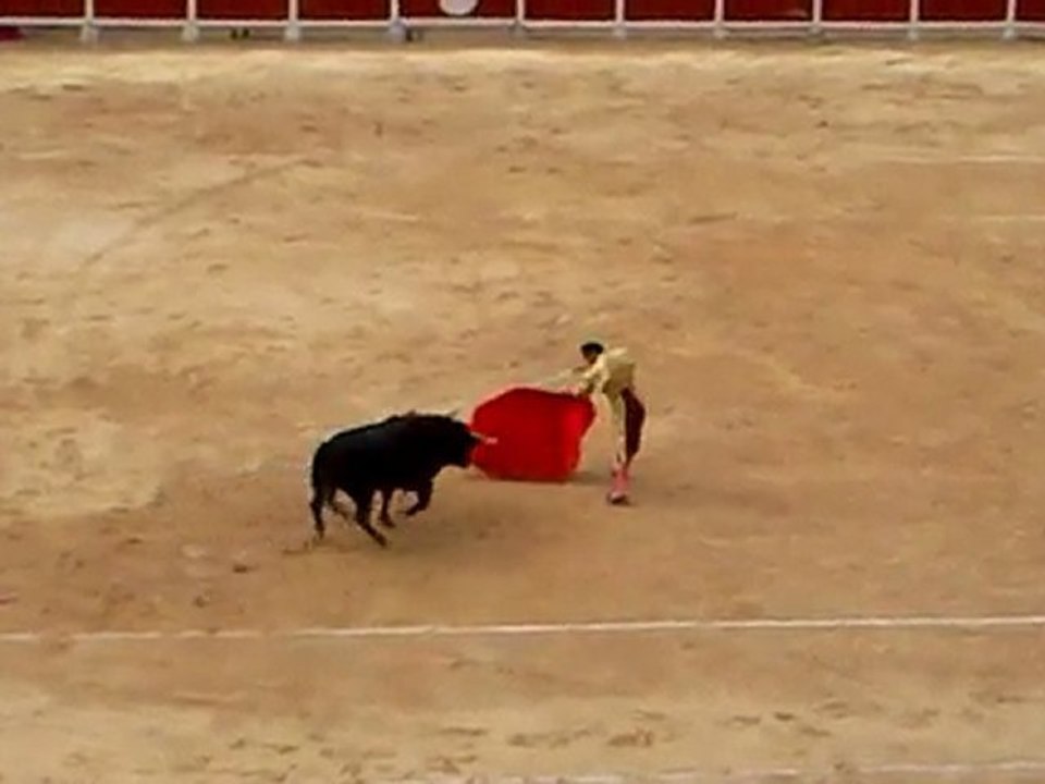 Enrique Ponce Palavas 2010