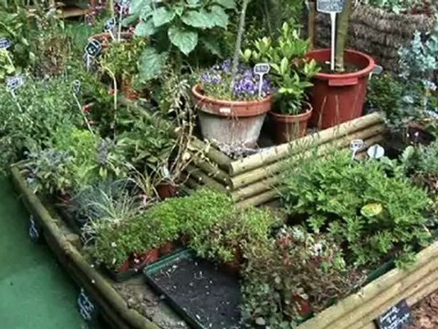 Aux Jardins de Montreuil : Boutique de création Florale