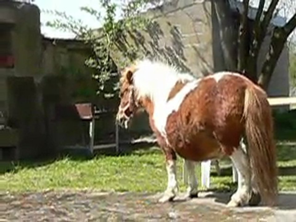 Katia et le carchère.