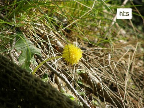 43 Emisja Piatek 07.05.2010 HTS cz4